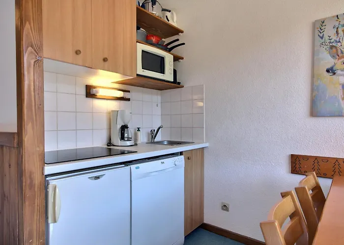 Appartement 4/5 Pers, Au Pied Des Pistes, Avec Balcon - Fr-1-455-82 La Plagne